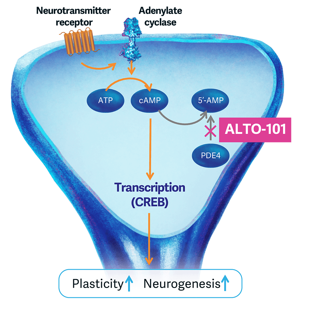 ALTO-101 Pipeline Support Graphic