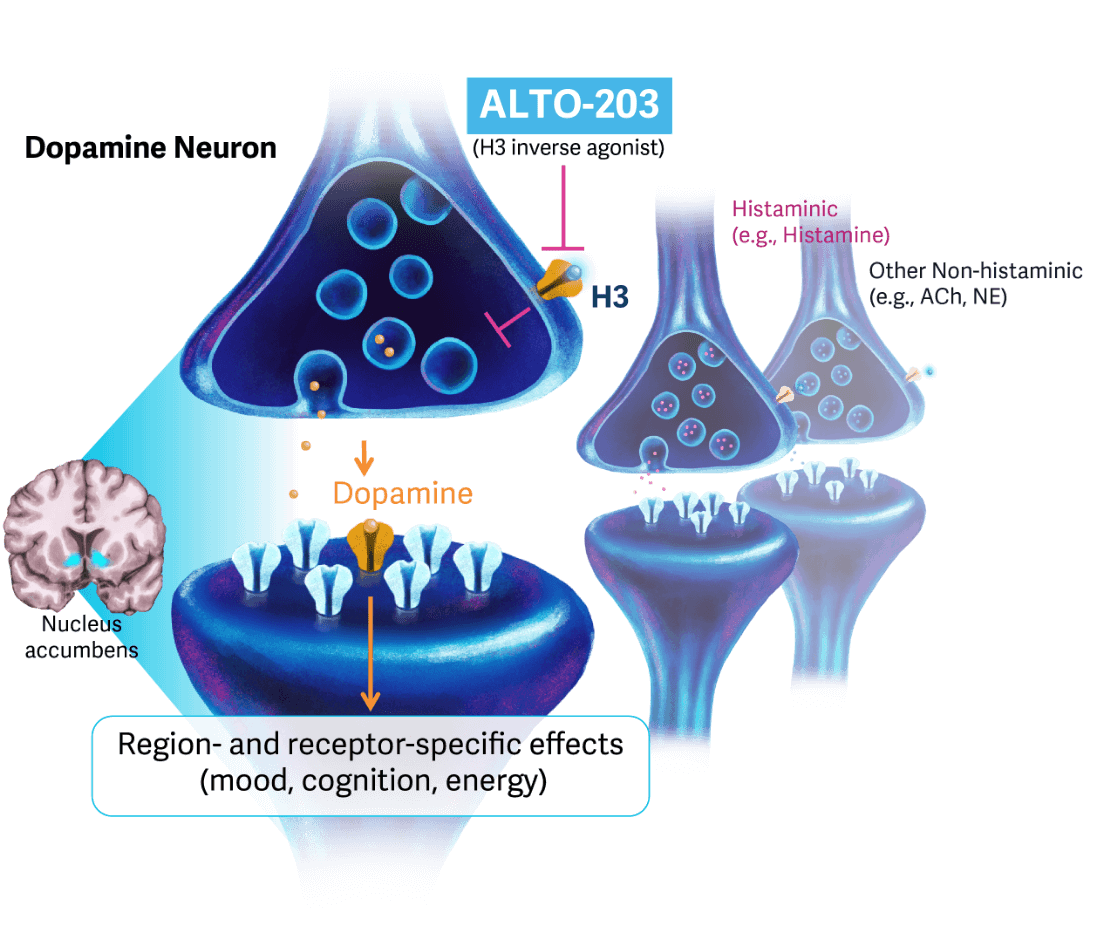 ALTO-203 Pipeline Graphic