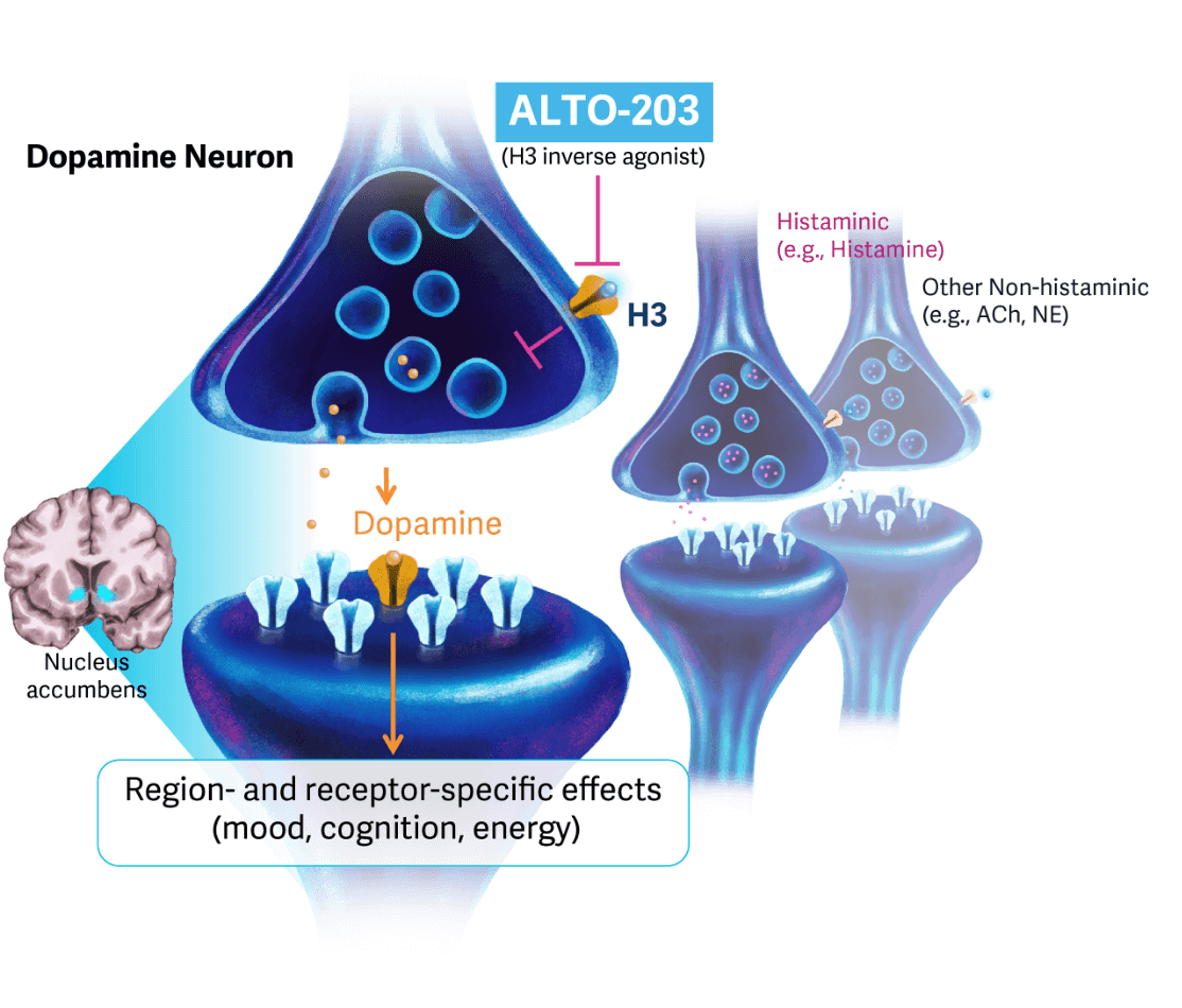 ALTO-203 Pipeline Support Graphic